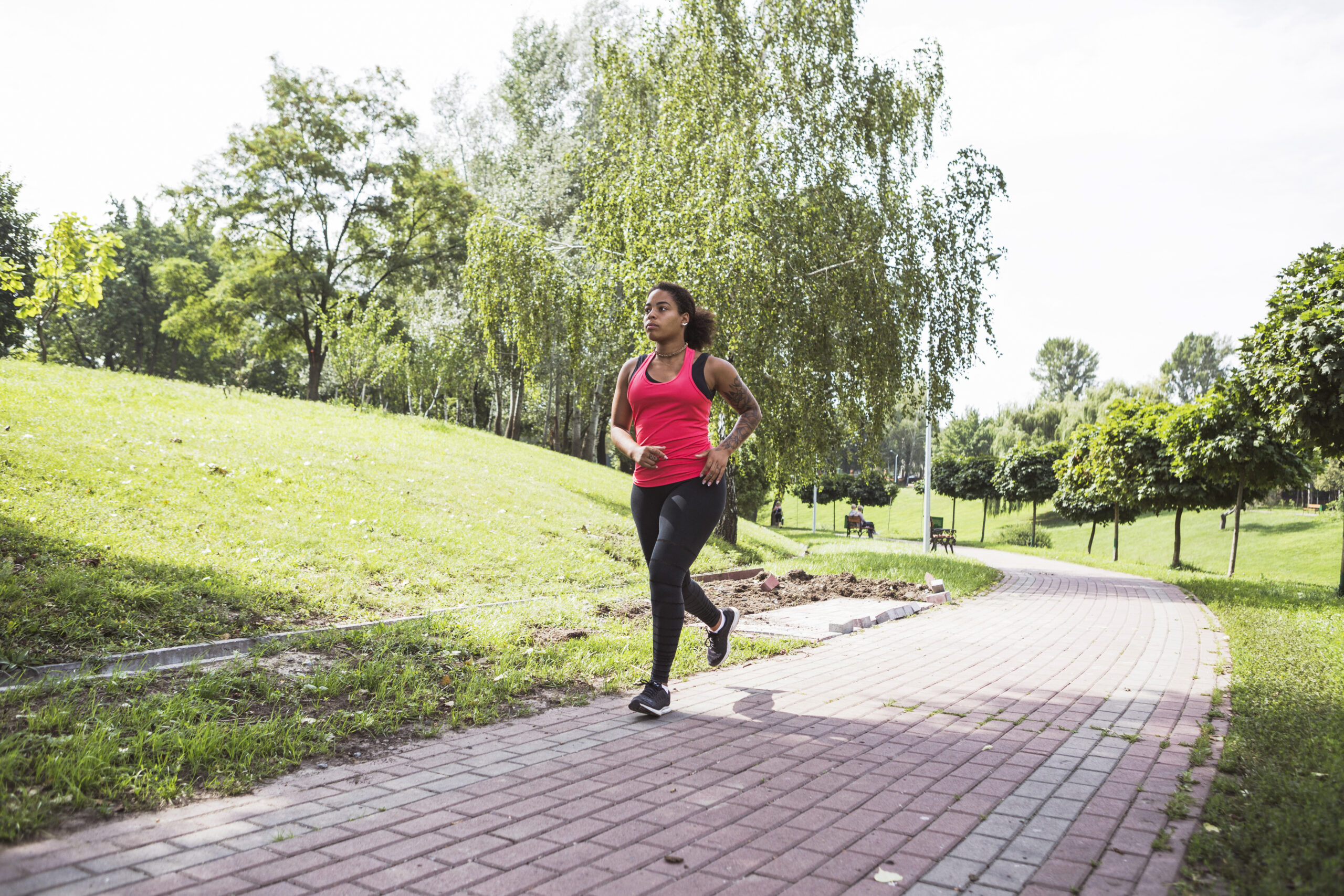 Jogging & Walking Trail